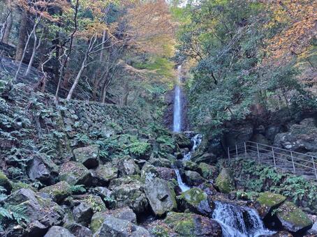 岐阜県-養老の滝と紅葉 養老の滝,滝,日本の滝百選の写真素材