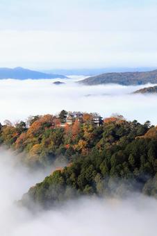 天空の城 天空の城 天空の城,天空の山城,備中松山城の写真素材