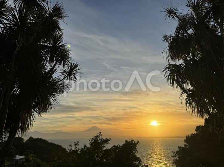 南国調の海と夕陽と富士山（横） 富士山,夕陽,椰子の木の写真素材