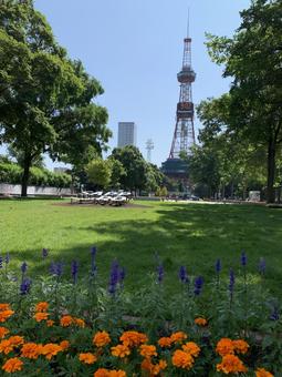 Sapporo Odori Park West 2-chome in late June, JPG Sapporo Odori Park West 2-chome in late June, JPG