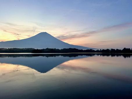 静かな朝の田貫湖と富士山 静かな朝の田貫湖と富士山の写真