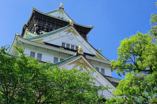 大阪城 青空 青葉 空 若葉 晴れ 大阪城 青空 青葉 空 若葉 晴れ 大阪城,青空,青葉の写真素材