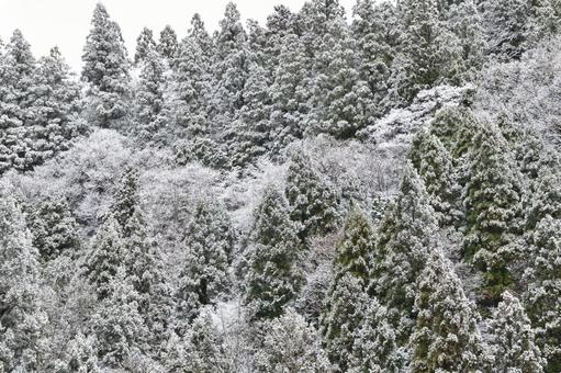 Christmas image Mountain surface covered with snow 3, snow makeup, christmas, christmas image, JPG