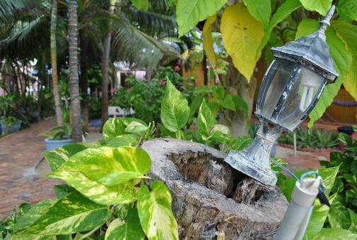 ベトナムの風景 ベトナム,海外,風景の写真素材
