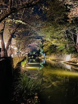 夜景 夜景の写真