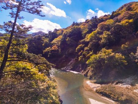 回顧の吊り橋からの紅葉の眺め 回顧の吊り橋,塩原温泉,塩原の写真素材