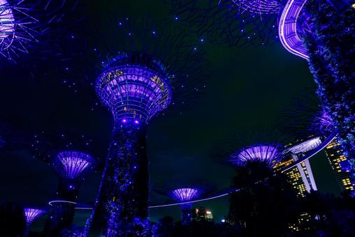 【シンガポール】ガーデンズバイザベイの写真