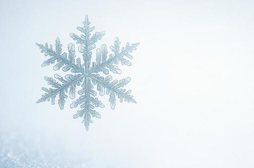 微細な雪の結晶 微細な雪の結晶の写真