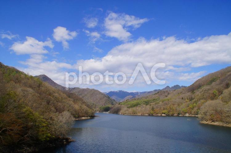 森林浴 森林浴,新緑,奥日光の写真素材