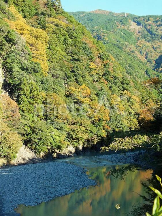 秋の陽に照らされて美しい紅葉の山 紅葉,いろどり,色づくの写真素材