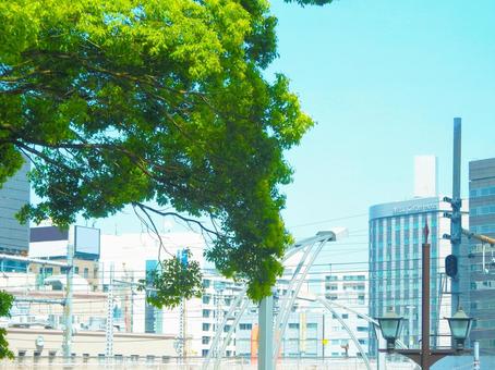 上野の街並みと木 上野の街並みと木 上野,東京,風景の写真素材