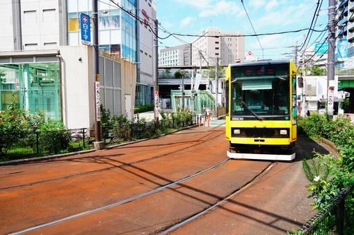 東京さくらトラムの電車 東京さくらトラムの電車 東京さくらトラム,都電荒川線,電車の写真素材