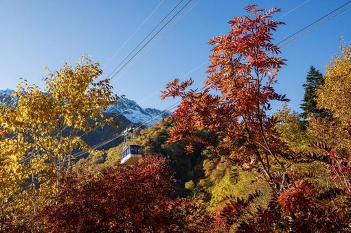 A ropeway moving through the autumn leaves, JPG