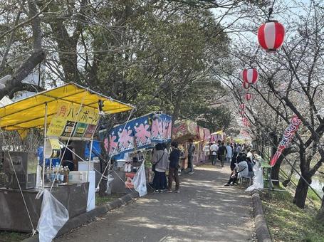 お花見 お花見の写真