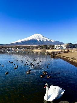 富士山と湖 富士山,湖,背景の写真素材