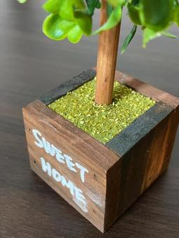木, JPG 木, 植物, 花盆, 裝飾, JPG