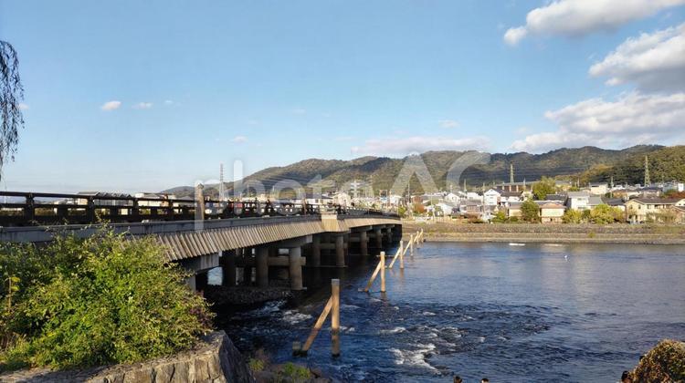 橋 橋,風景,川の写真素材