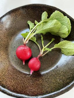 ラディッシュ ラディッシュ,赤カブ,サラダの写真素材