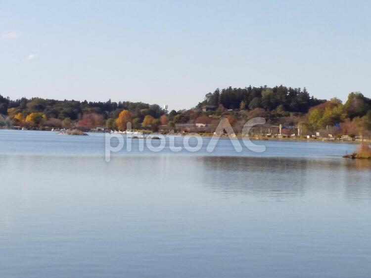 水戸千波湖から見える偕楽園 水戸,千波湖,偕楽園の写真素材
