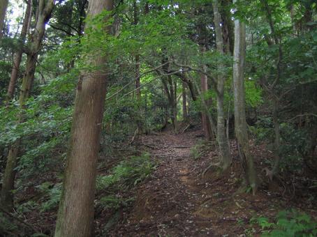 Photo, little valley city, kotaniyama, nagamasa asai, 