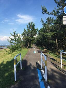 森林の中をサイクリング 森林の中をサイクリングの写真