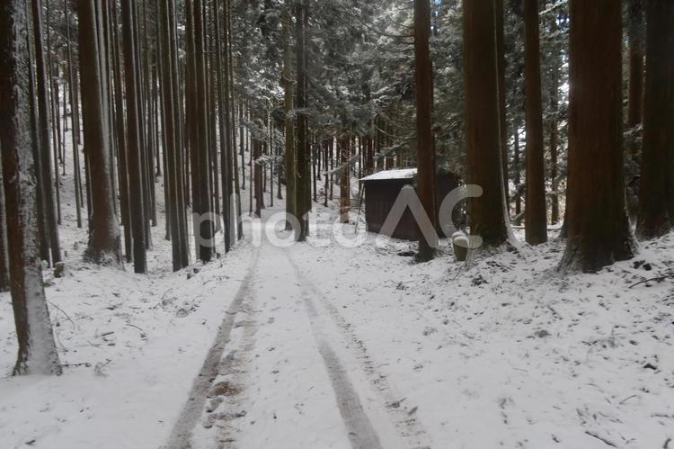 愛宕山の風景 3月,春,登山の写真素材
