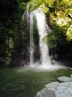 箕面大滝 箕面大滝の写真