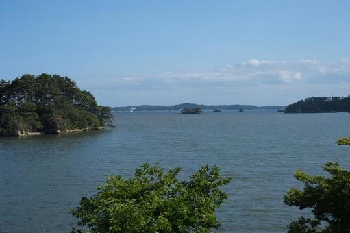 松島 松島,日本三景,木の写真素材