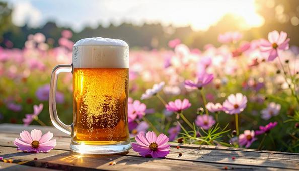 生ビールとコスモス 生ビールとコスモスの写真