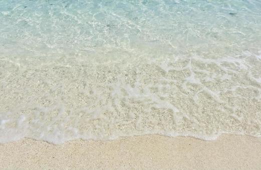 夏の浜辺 夏の浜辺の写真