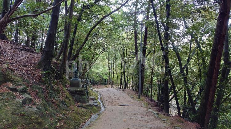 兵庫県-圓教寺-参道 圓教寺,寺,書寫山の写真素材