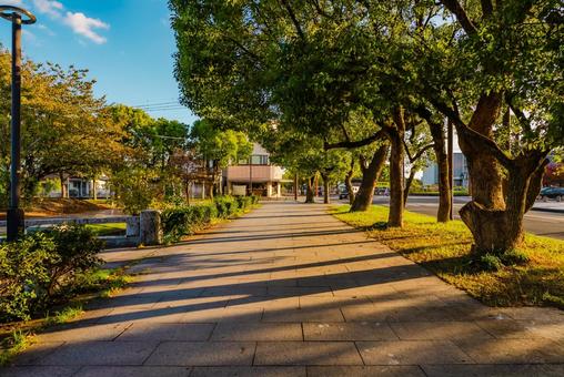 【佐賀】佐賀県立図書館の周辺 佐賀,県立図書館,図書館の写真素材