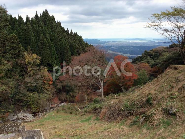 紅葉した木々の間から市街地を望む 紅葉した木々,紅葉,木々の写真素材