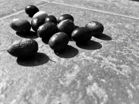 たくさんのオリーブ、コピースペース オリーブ,オリーブの実,幸いの写真素材