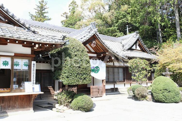 多田神社　川西　源氏まつり　 多田神社,多田,神社の写真素材