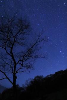 星空 星空の写真