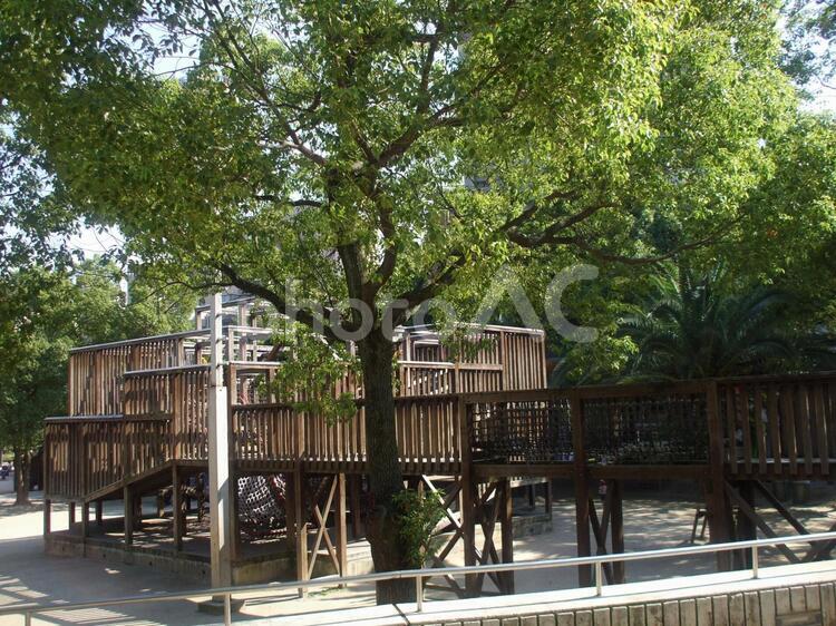 公園の風景2 公園,風景,アスレチックの写真素材