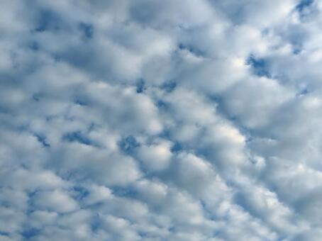もこもこ雲 空,雲,ひつじ雲の写真素材
