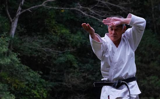 空手（構え②） 空手,形,人の写真素材