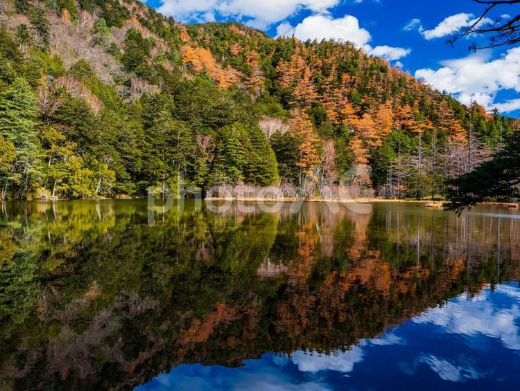 秋の明神一之池 紅葉,秋,風景の写真素材