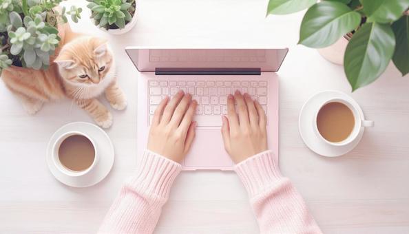 ノートパソコンで作業する女性の手 ノートパソコンで作業する女性の手の写真