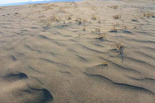 Photo, beach, sea, it's beautiful, 