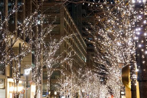 丸の内のイルミネーション 丸の内,東京,街の写真素材