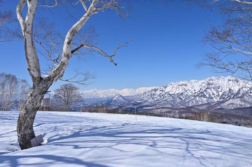 戸隠スキー場から見た後立山連峰の絶景 戸隠スキー場から見た後立山連峰の絶景 戸隠スキー場,戸隠,スキー場の写真素材