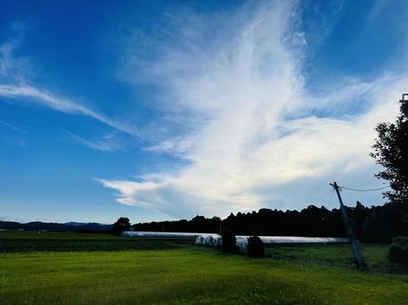 夏空と田園風景 夏空と田園風景 空,青空,夏空の写真素材