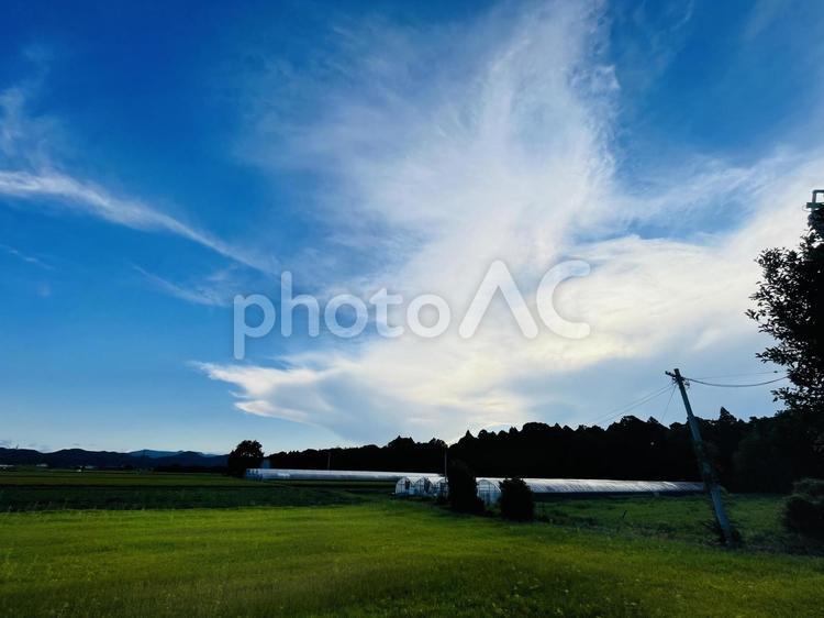 夏空と田園風景 空,青空,夏空の写真素材