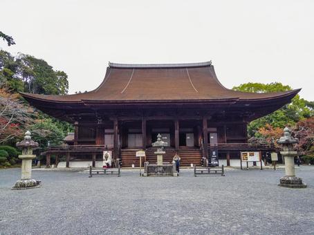 【滋賀県】大津市・三井寺 三井寺,園城寺,金堂の写真素材