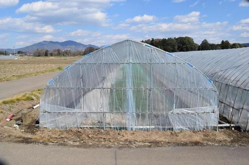 農業用ビニールハウス 茨城県 農業用ビニールハウス 茨城県 農業ビニールハウス,農業ハウス,ビニールハウスの写真素材