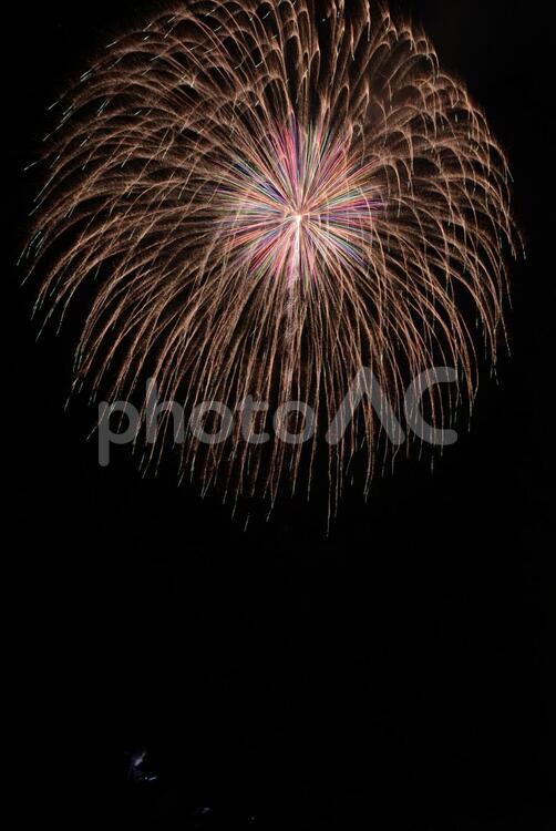 2019　天竜かっぱまつり 花火,天竜,花火大会の写真素材
