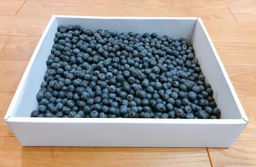 blueberry, JPG